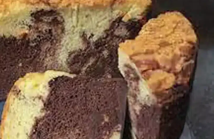Slice of Japanese marble wobble cake showing the cloud-light sponge and chocolate marble