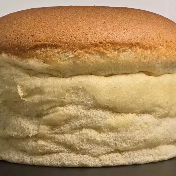 Japanese wobble cake