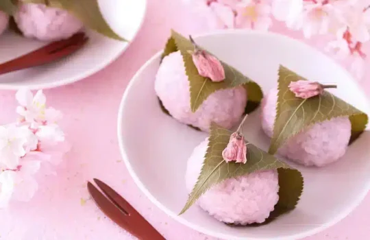 Sakura Cherry Blossom