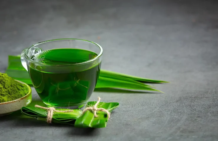 Pandan