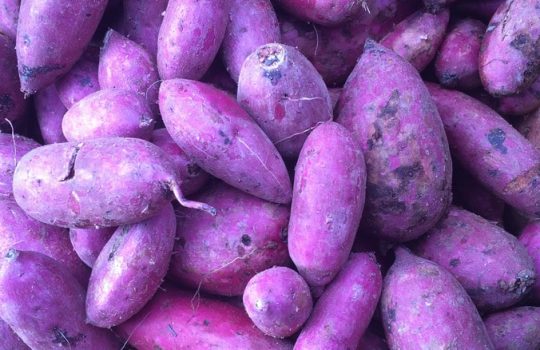 What Does Ube Taste Like?