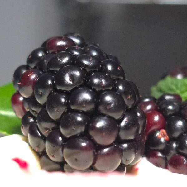 Decadent Triple Layer Blackberry Cake From £95