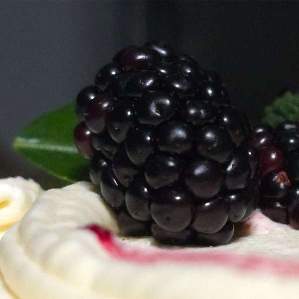 Decadent Triple Layer Blackberry Cake From £95