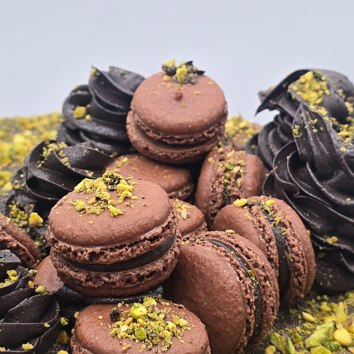 CHOC-PIS-6