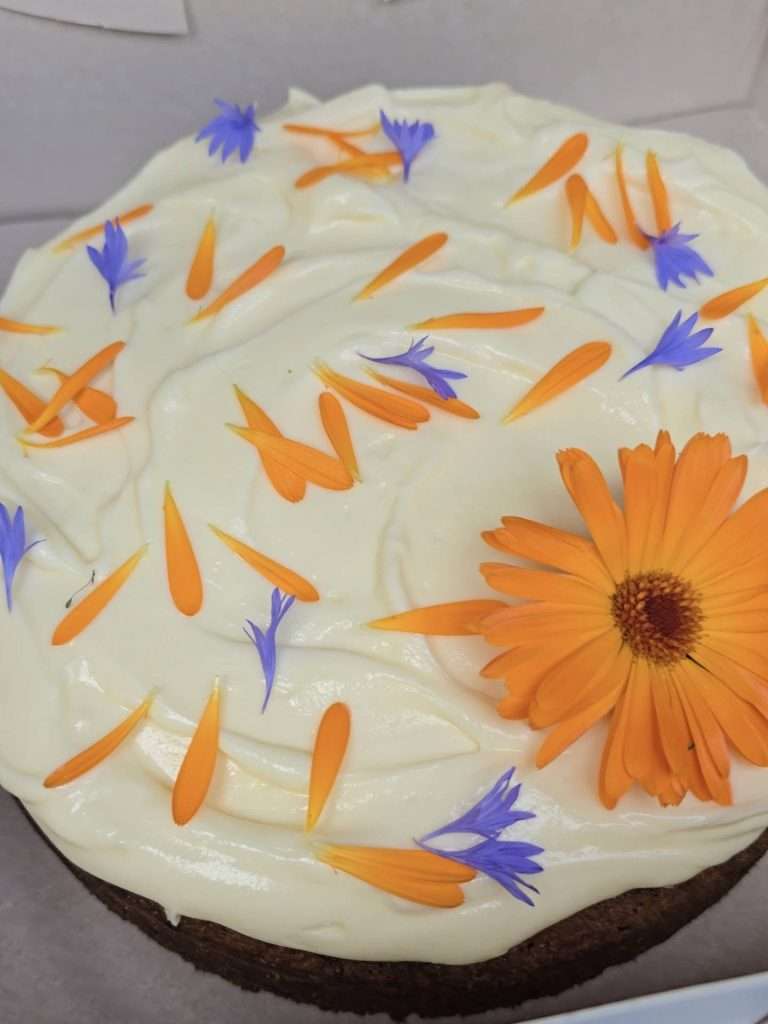 STROMA BAKES CAKE for Substack Summer fete
