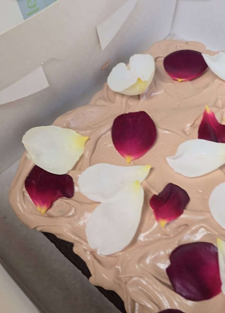 STROMA BAKES for Substack Summer fete