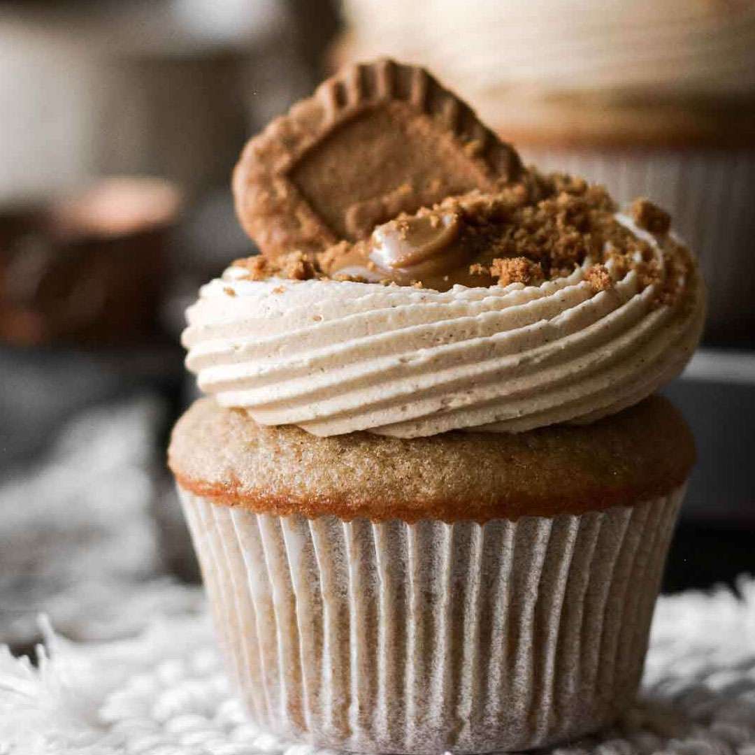 BISCOFF 2 copy
